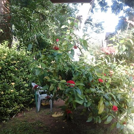 Firefly Beach Cottages Negril Exterior foto