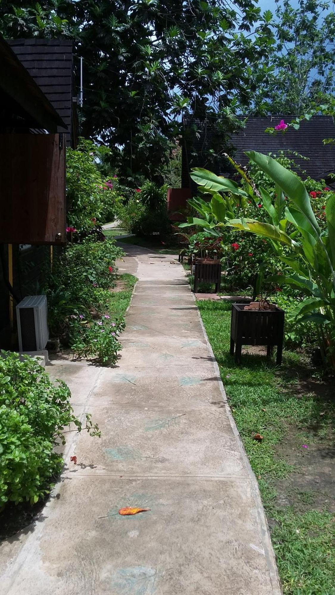 Firefly Beach Cottages Negril Exterior foto