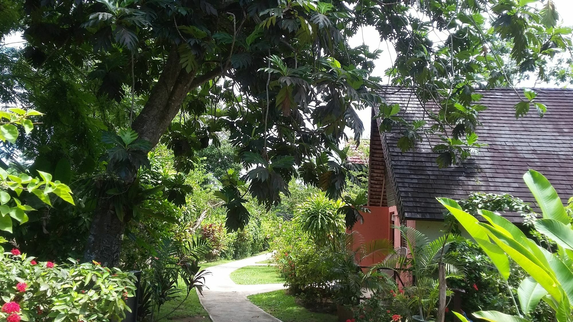 Firefly Beach Cottages Negril Exterior foto