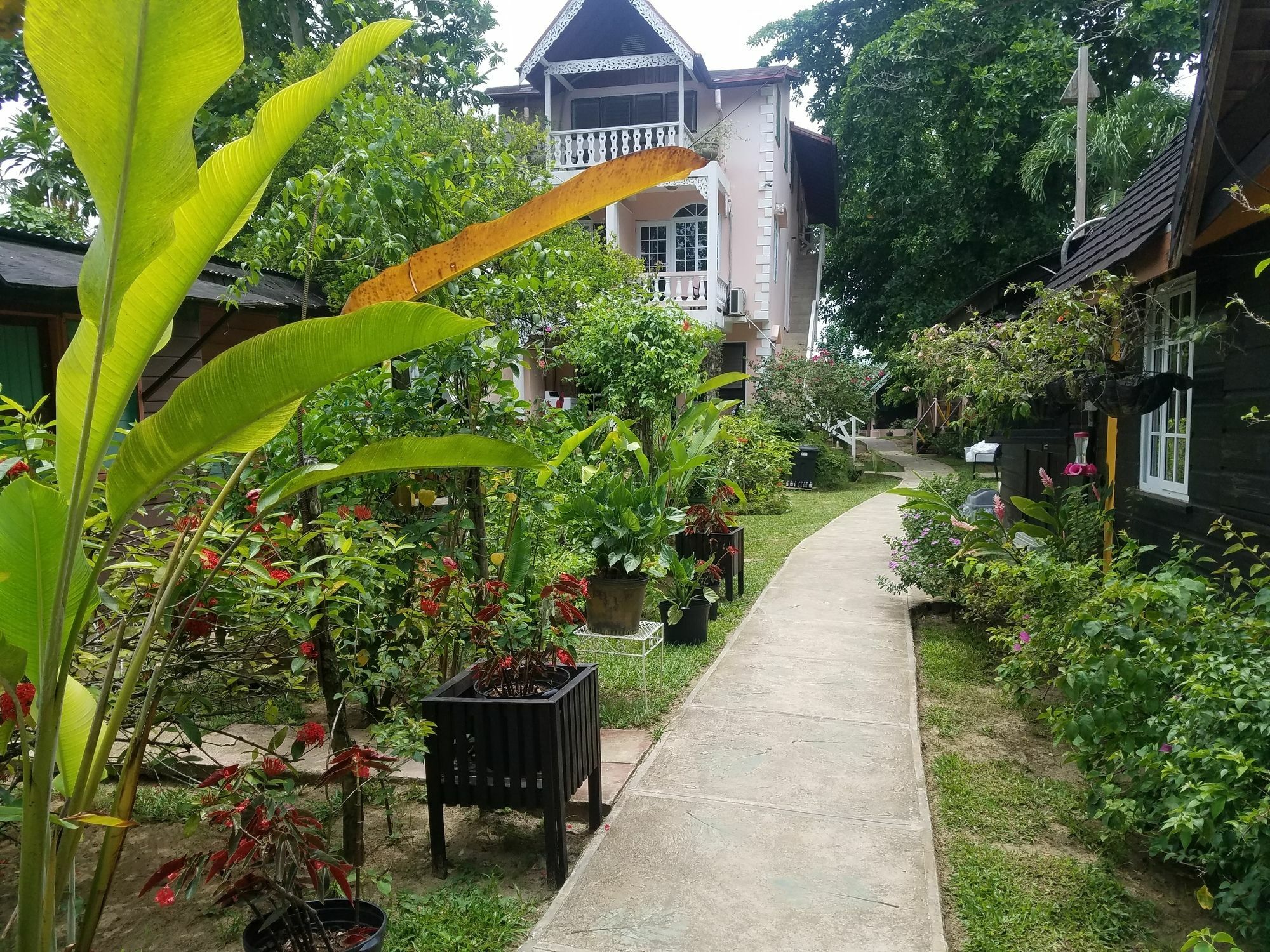Firefly Beach Cottages Negril Exterior foto